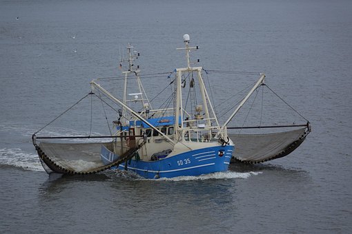 Free Crab Cutter Sea photo and picture
