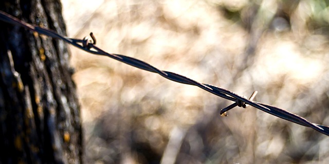 Free Fence Rustic photo and picture