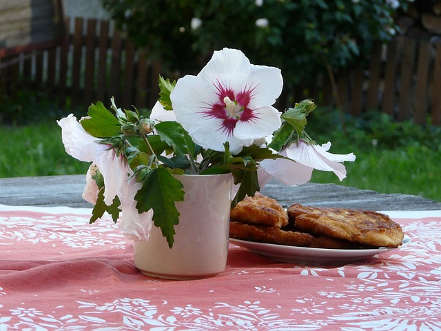 Sommer, Landskabet, Frokost, Bøf