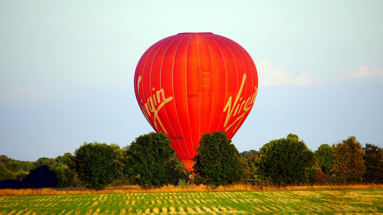 Red - free online jigsaw puzzle photo
