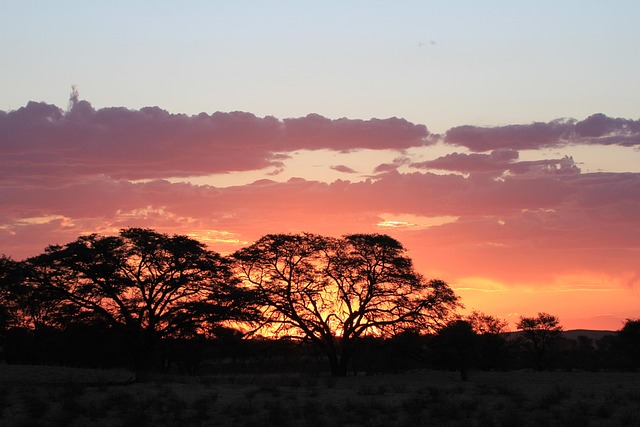 Free Sunset Silhouette photo and picture