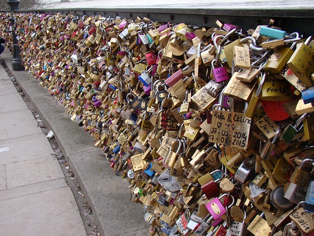 Free Bridge Padlocks photo and picture