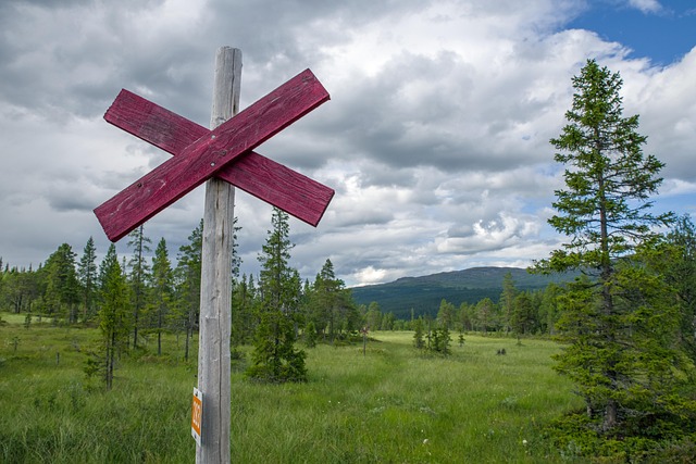Free Sweden Fjäll photo and picture