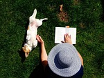 read, doggy, garden