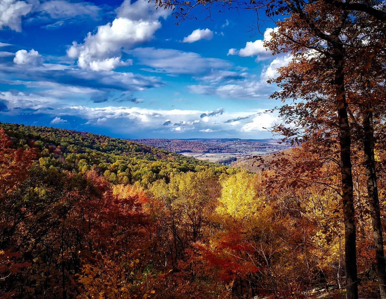 Catoctin Mountains - free online jigsaw puzzle photo