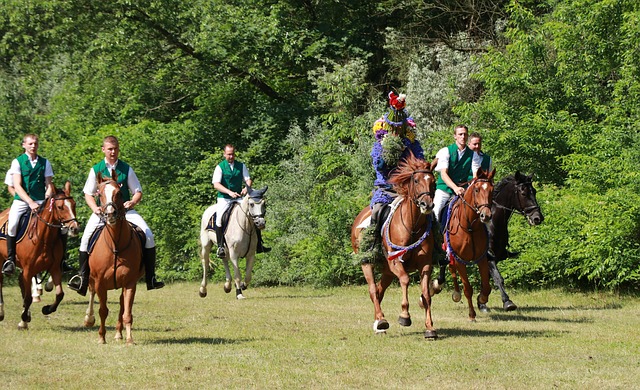 Johannisritt, Hest, Kasse, Ridning