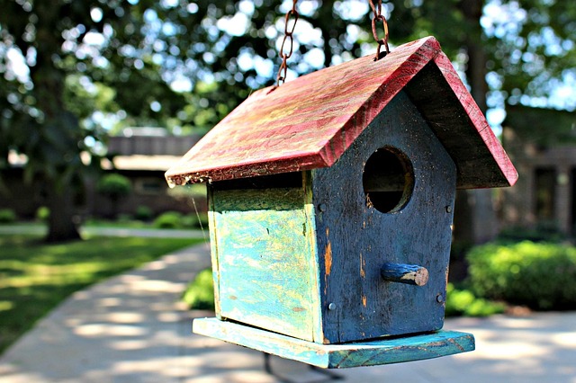 Free Bird House Garden photo and picture