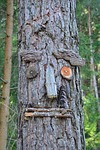 wish tree, tyrol, austria