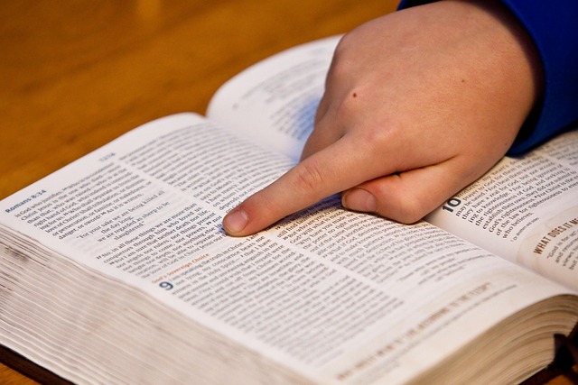 Free Bible Study Bible photo and picture