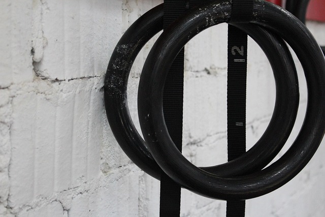 Gymnastic rings, rings, do gymnastics and sports equipment — photo by Peggy_Marco