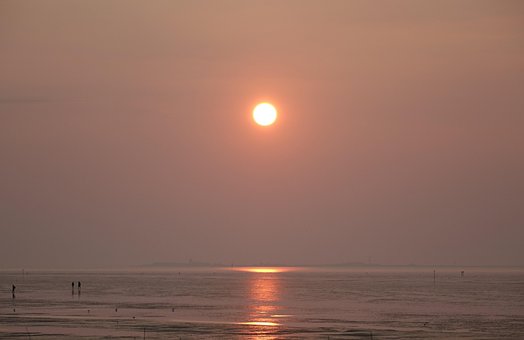 Free Sunset Wadden Sea photo and picture
