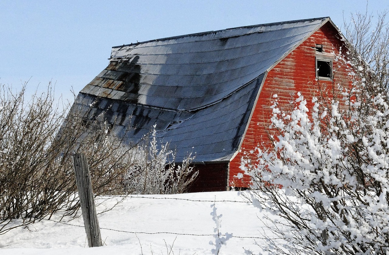 Barn Red Winter - Free photo on Pixabay - Pixabay