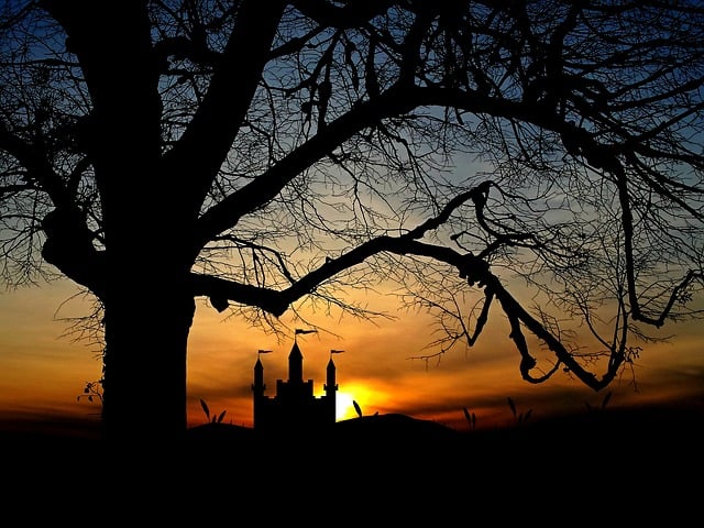 Free tree castle sunset illustration