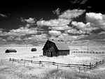 barn, stadl, montana
