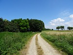 nature, landscape, away