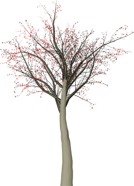 Free tree leaves autumn illustration