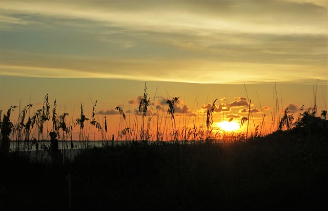 Free Sunset Sea photo and picture