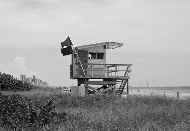 Free Florida Miami Beach photo and picture