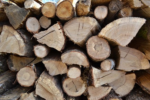 Protokolle, Brennholz, Holzstapel