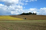 arable, field, landscape