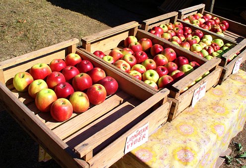 Free Apples Fruit photo and picture