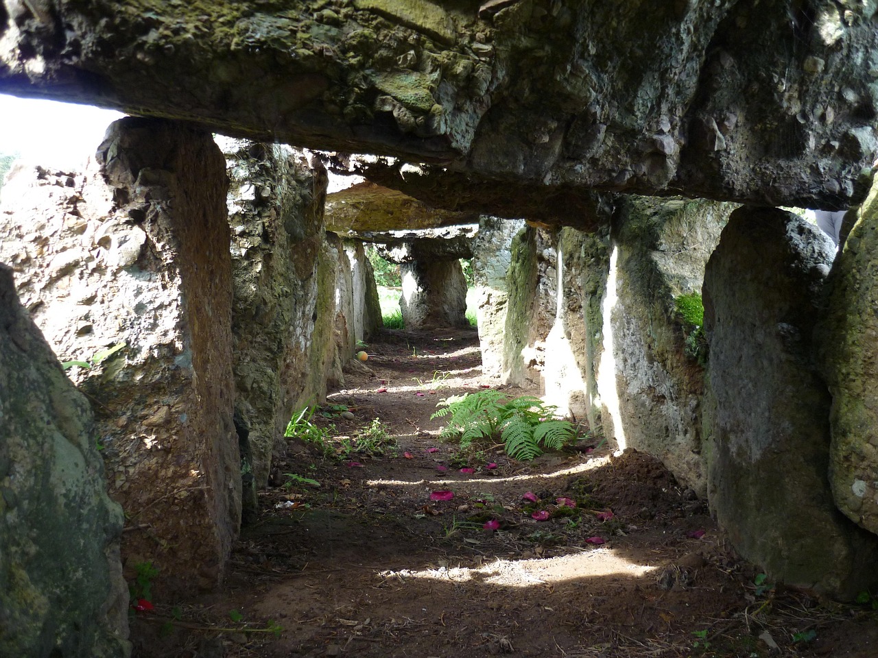 https://cdn.pixabay.com/photo/2016/09/04/02/10/prehistoric-1643129_1280.jpg