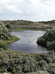 lake in the dunes, dunes, dutch landscape