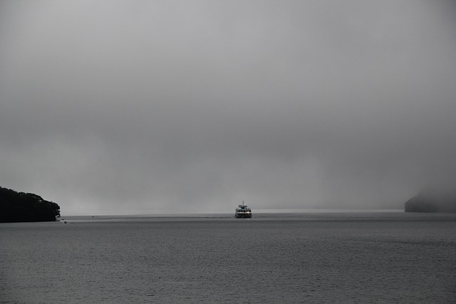 Free Fog Mist photo and picture
