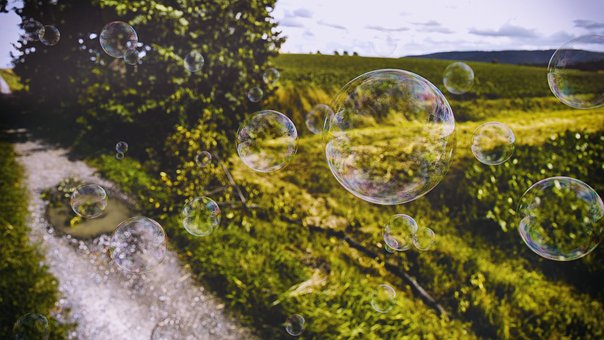 Free Bubbles Grass photo and picture