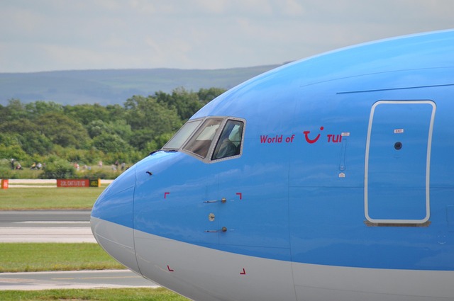 Free Airplane Flight photo and picture