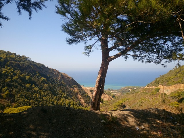 Free Nature Mountains photo and picture