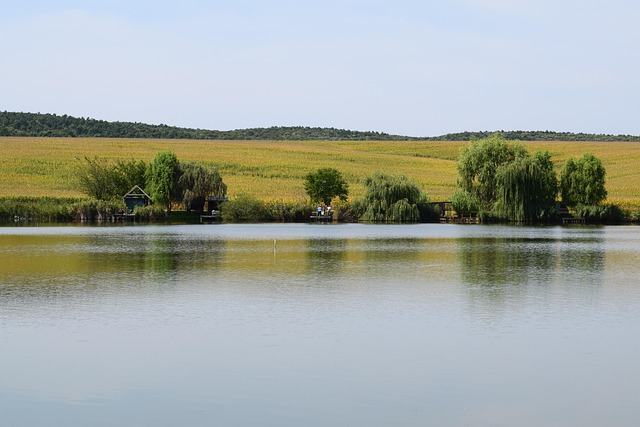 Free Lake Blue photo and picture