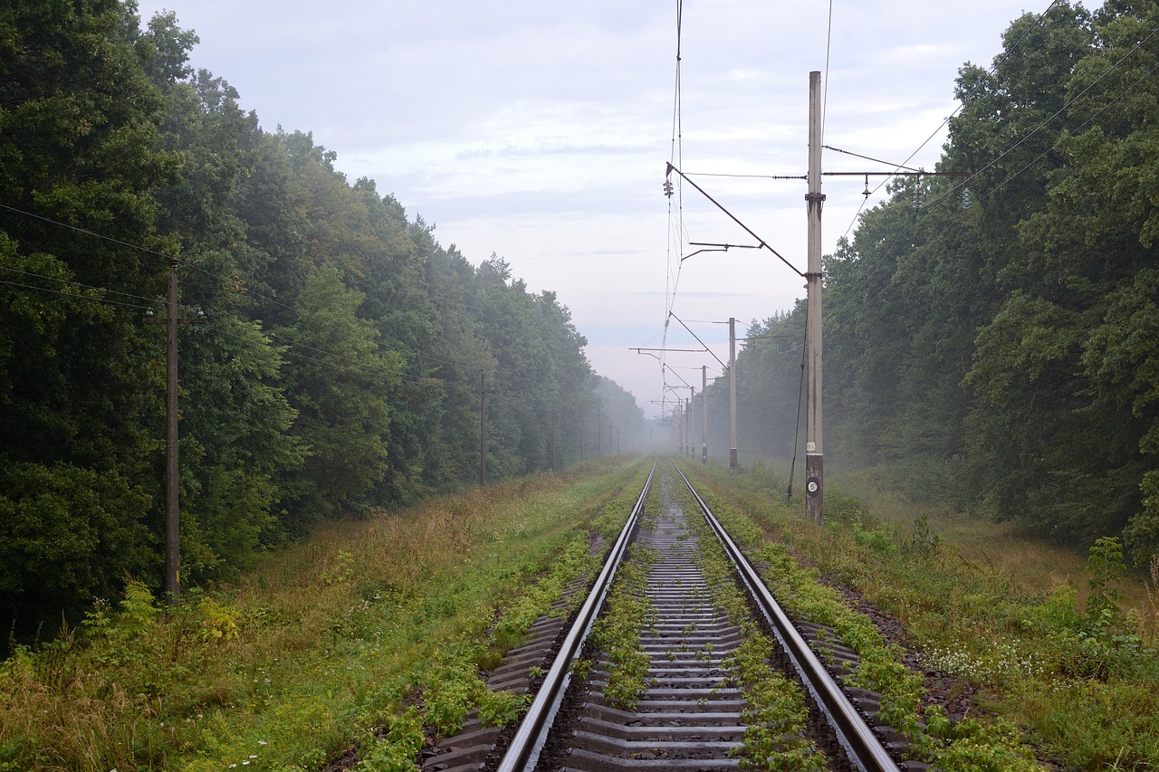 Фото Ж Дорог