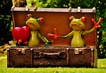 frogs, homesickness, travel
