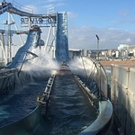 water, wild, log flume