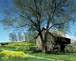 hut, heustadel, barn
