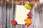 autumn, leaves, colorful