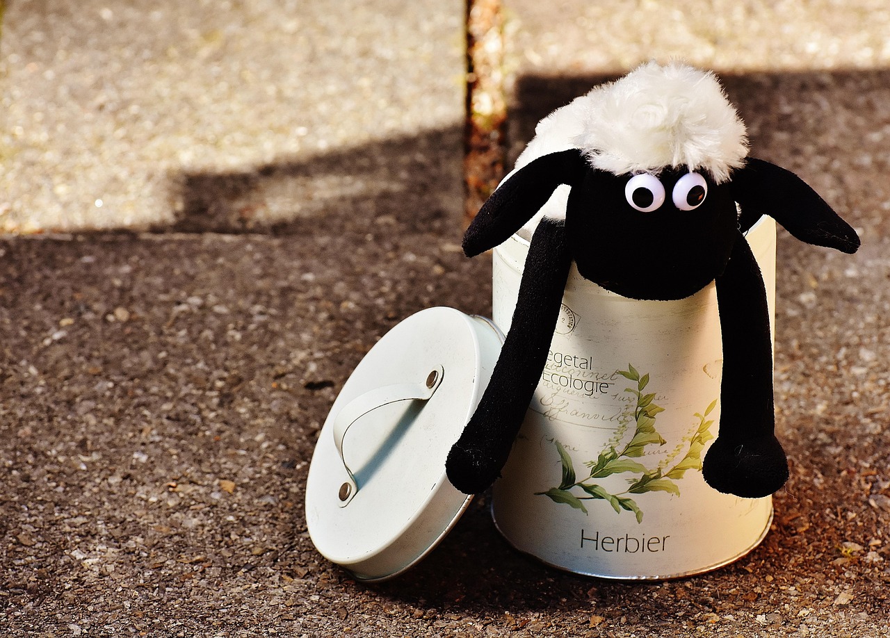Sheep - free online jigsaw puzzle photo