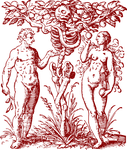 adam and eve, old, 1957