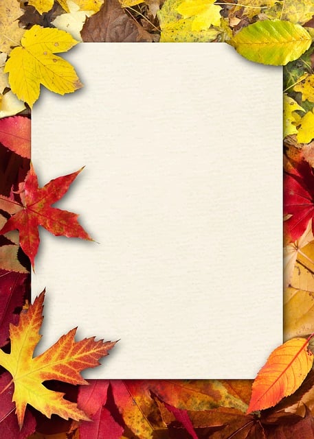 Herbst, Laub, Bunt, Herbstlaub, Papier