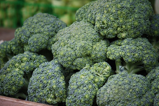 Free Green Broccoli photo and picture