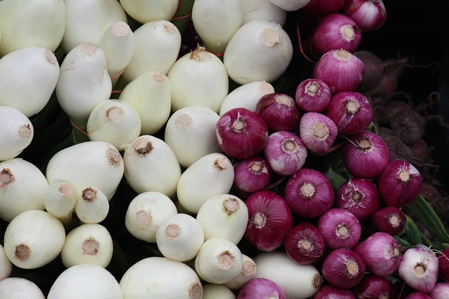 Free Scallions White Onion photo and picture