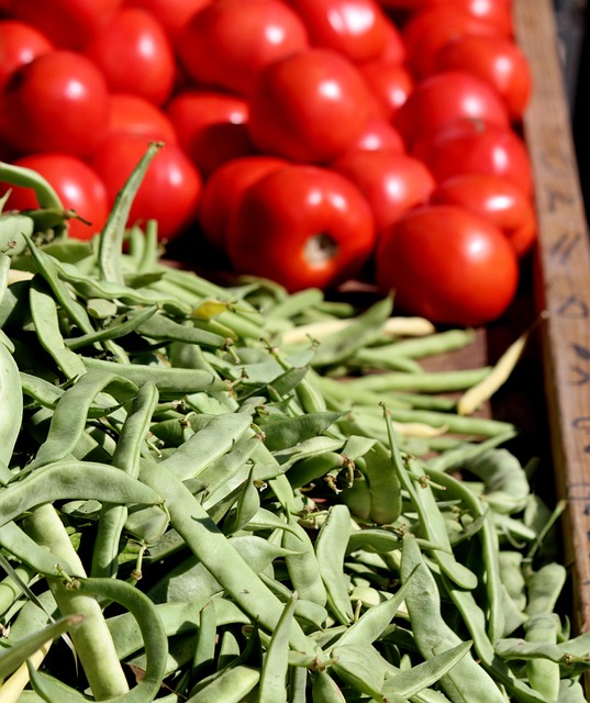 Free Tomato Green photo and picture