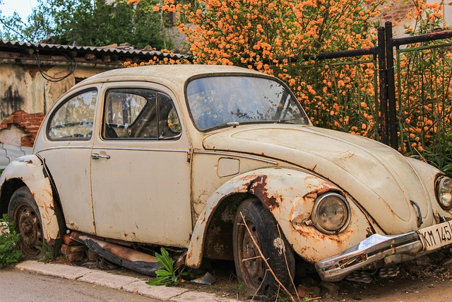 Bille, Volkswagen, Køretøj, Automobil