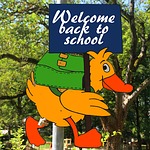 shield, school, back to school