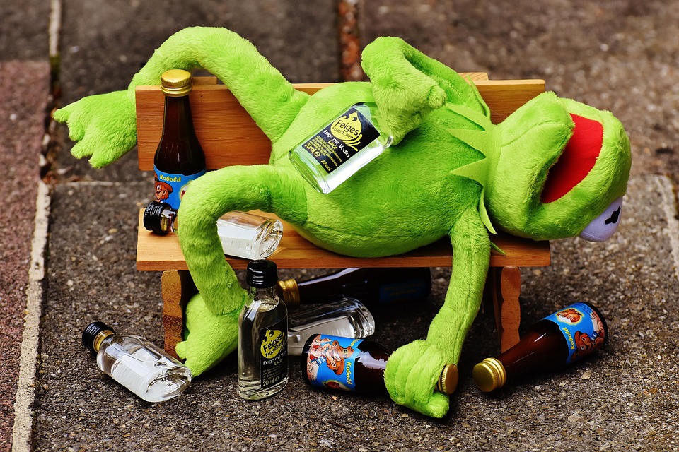 Kermit Frog Drink Free Photo On Pixabay Kermit Frog Drink Free Photo On Pixabay