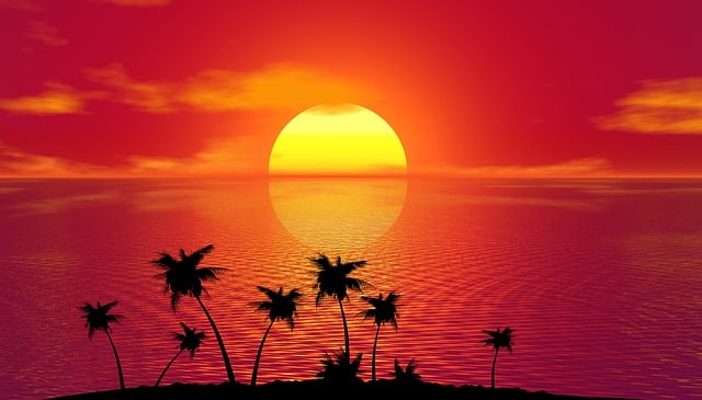 Free tropical sunset nature illustration