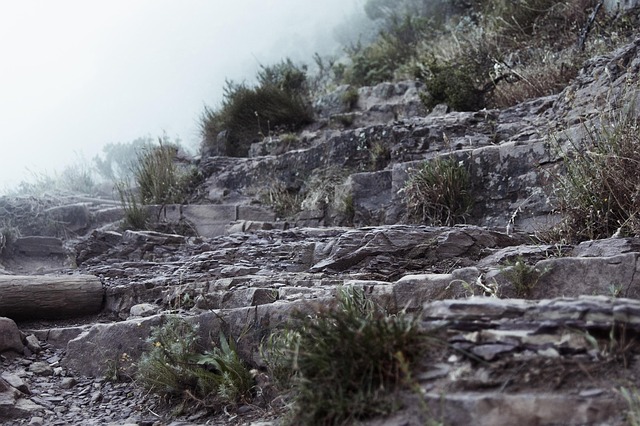 Free Mountain Trail photo and picture