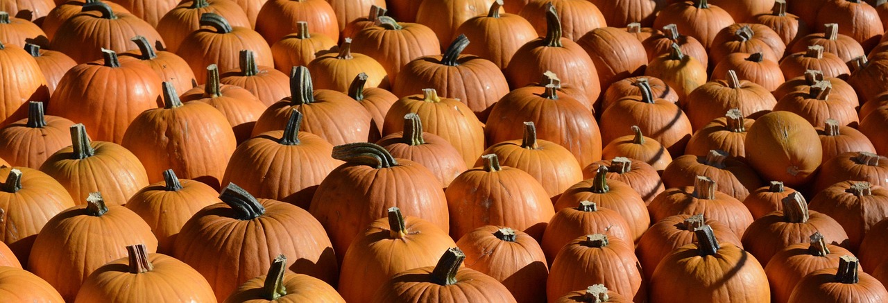 pumpkin-1651965_1280.jpg