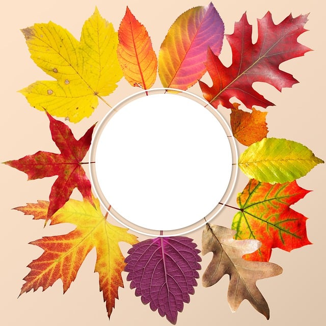 Herbst, Laub, Bunt, Herbstlaub